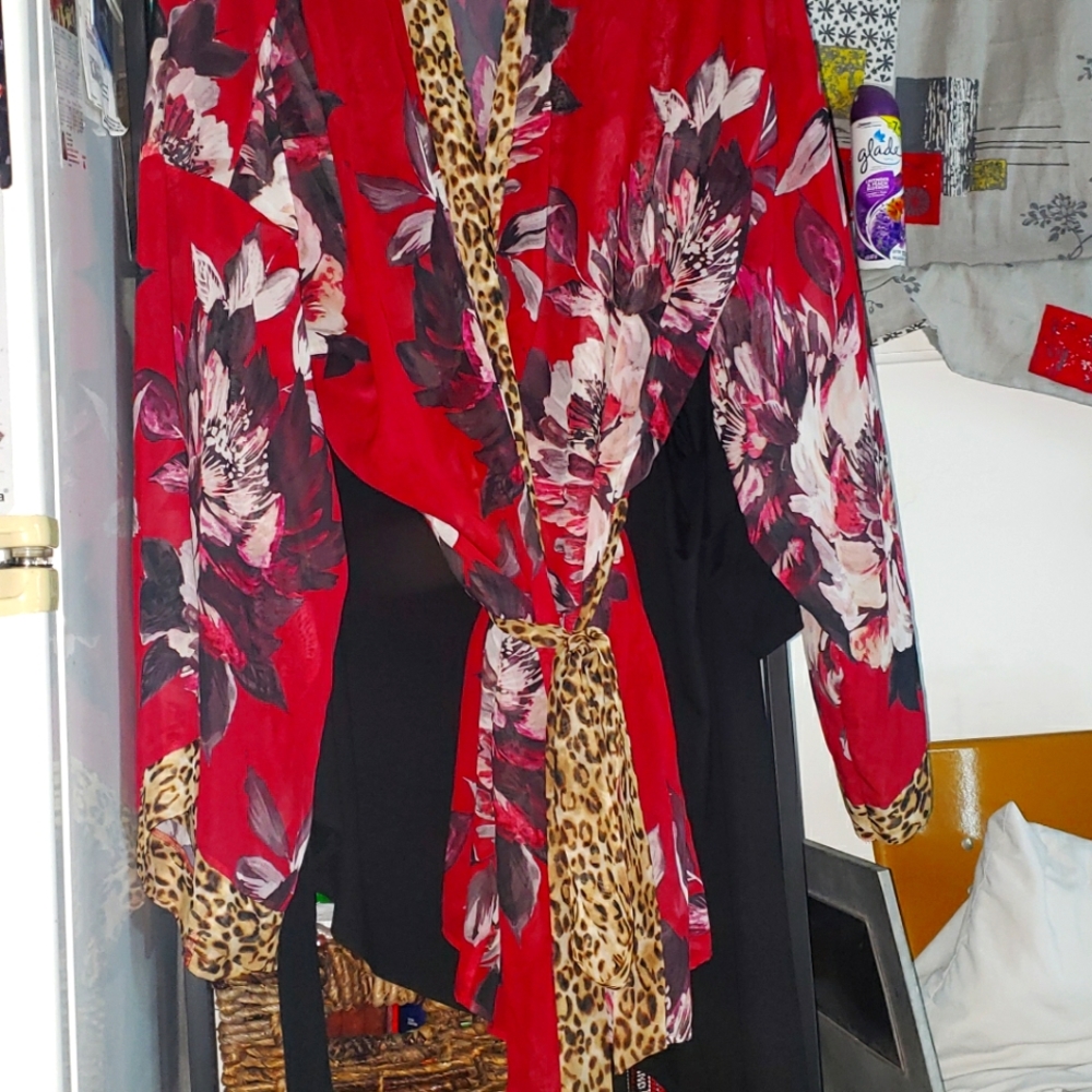 Lane Bryant  Kimono style robe. See-through  sexy and yet sassy.